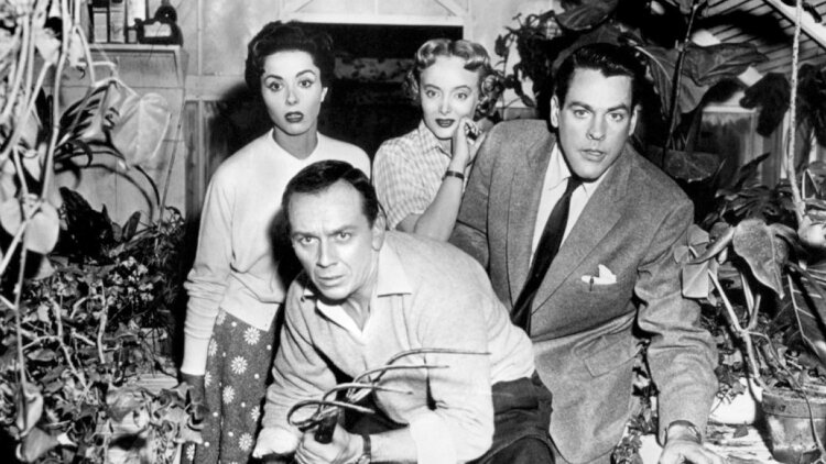 错把软饭当资本