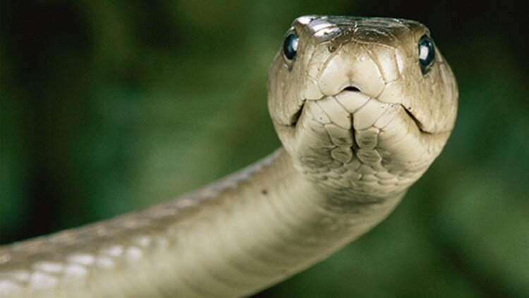 七个学生一个妈：意外的家庭组合