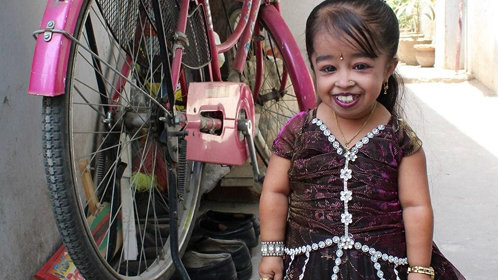 如何建立信任：相互理解与尊重的基础