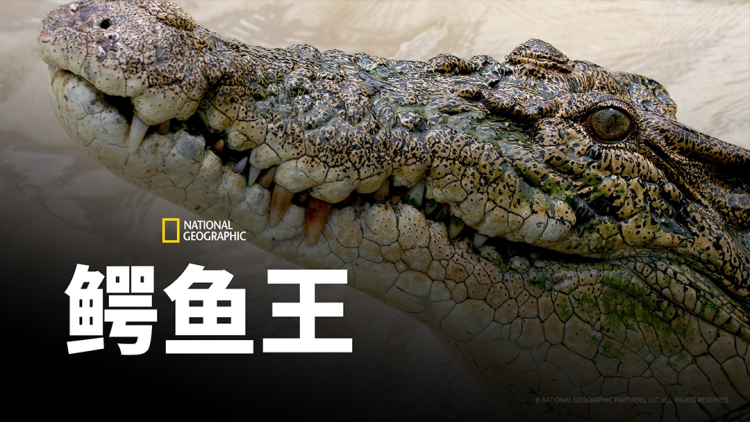 只把千金嫁给我的幸福未来