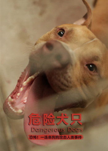 危险犬只}