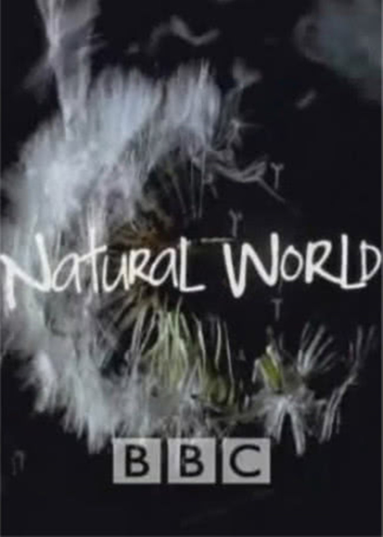 BBC自然世界