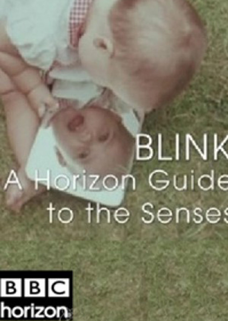 感官指南封面图