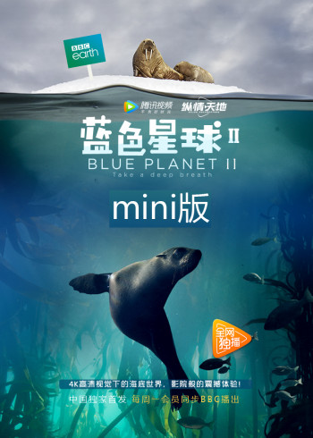 海报背景