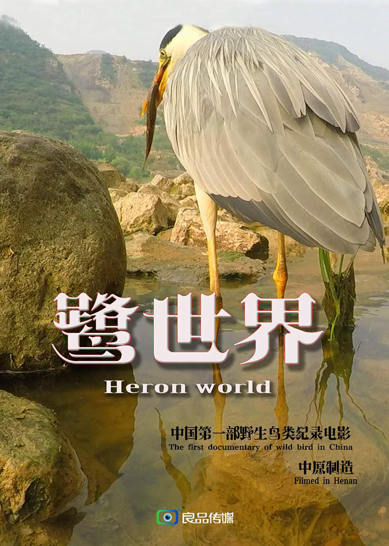 鹭世界}