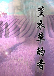 薰衣草的香免费观看