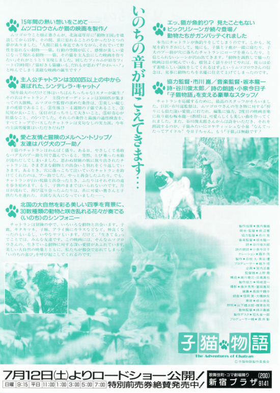 子猫物语 子猫物语 电影 高清1080p在线观看平台 腾讯视频