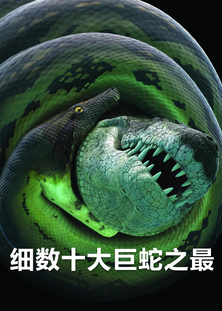 细数十大巨蛇之最}