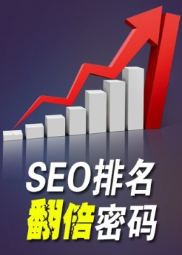 《SEO优化排名翻倍密码》