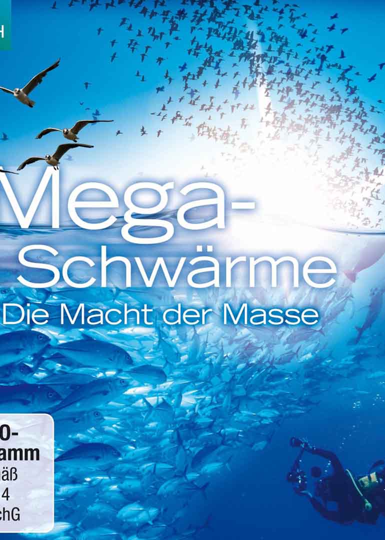 当超级动物群入侵封面图