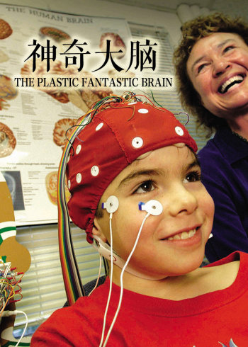 神奇大脑封面图