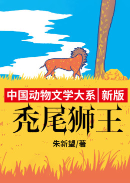 沈石溪推荐 动物小说  新版·秃尾狮王