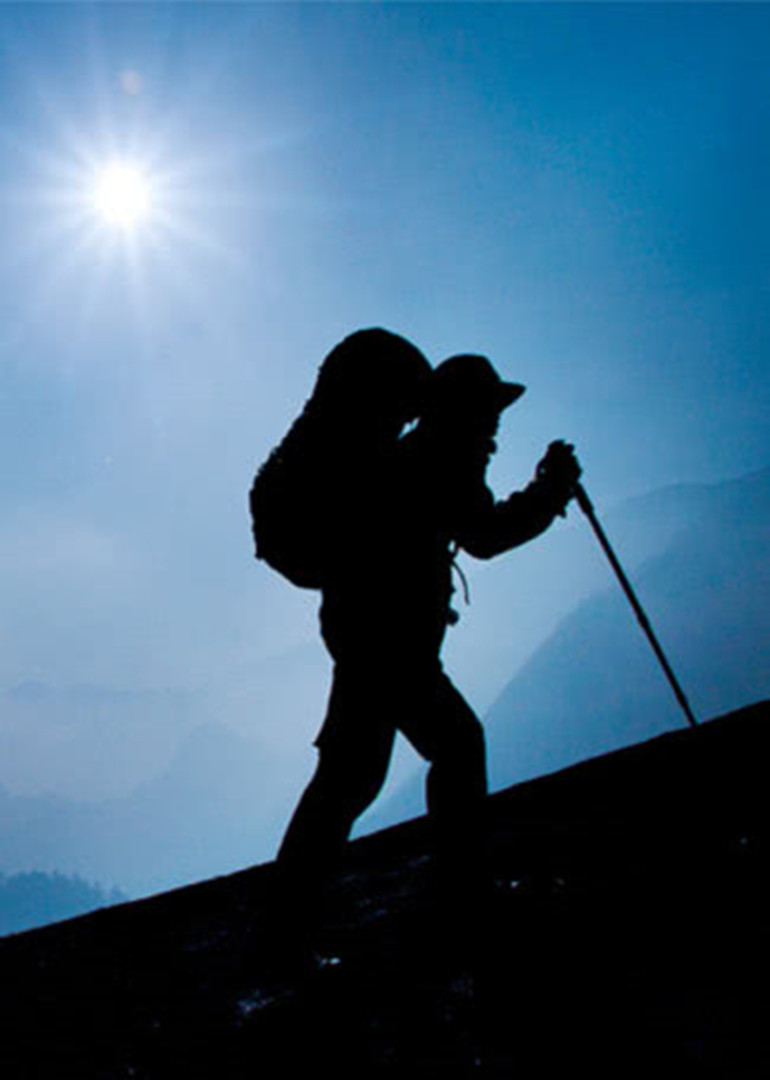 我们替你闯世界封面图