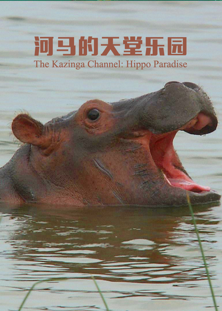 河马的天堂乐园}