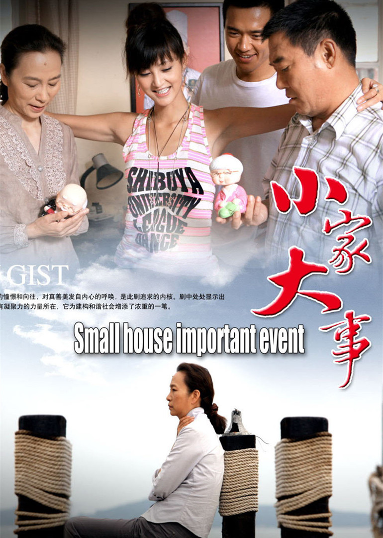 小家大事免费观看
