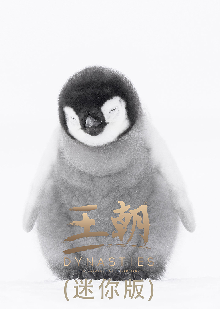 王朝迷你版