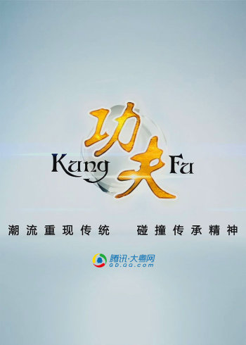 功夫封面图