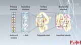 生物工程 生物化学