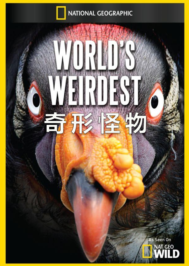 奇形怪物 World Weirdest 纪录片 腾讯视频
