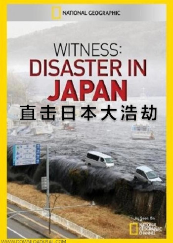 直击311日本大浩劫}