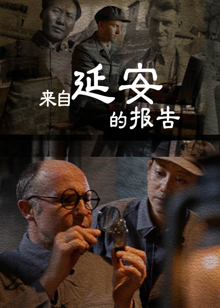 来自延安的报告封面图