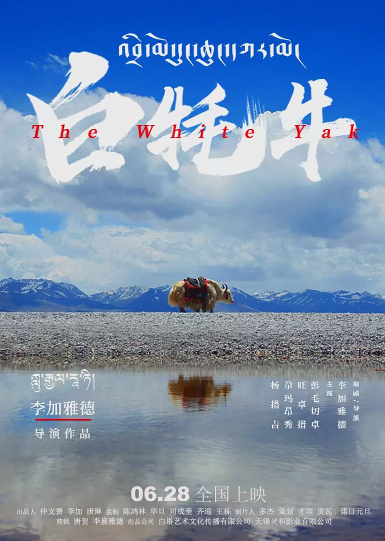 白牦牛-封面2