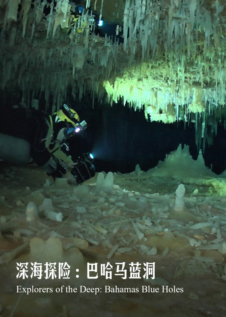 深海探险：巴哈马蓝洞}