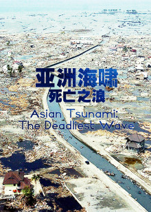 亚洲海啸：死亡之浪