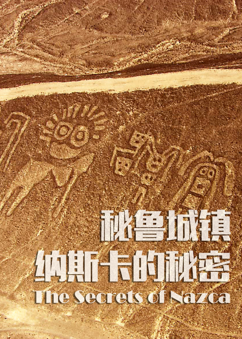 秘鲁城镇纳斯卡的秘密封面图