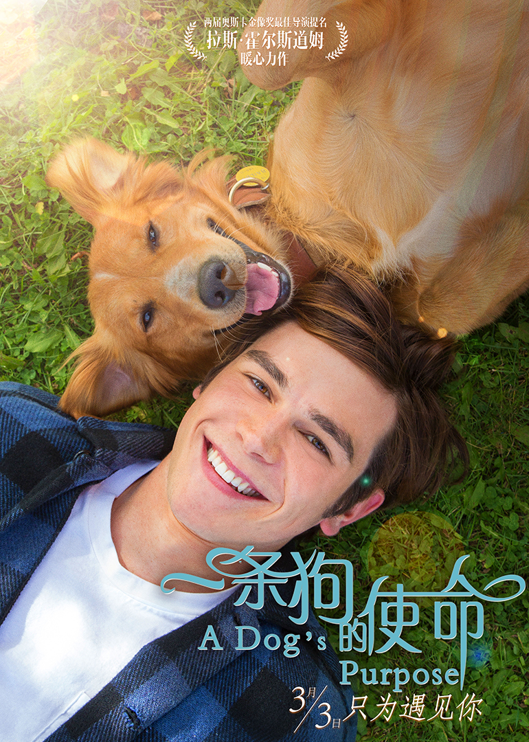 一条狗的使命-封面2