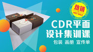 CDR平面设计零基础培训公开课学习视频C