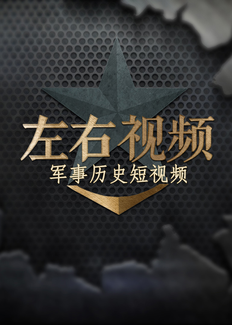 左右视频}
