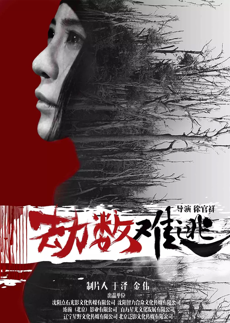劫数难逃-封面2