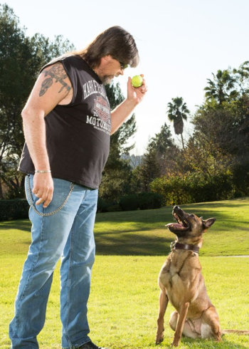 军犬训练营封面图