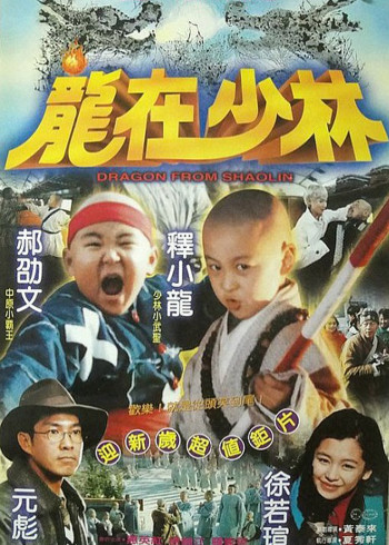 龙在少林}