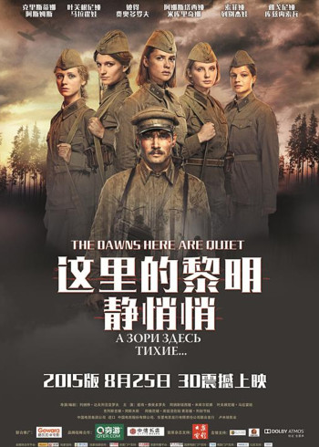这里的黎明静悄悄封面图