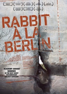 柏林墙的野兔