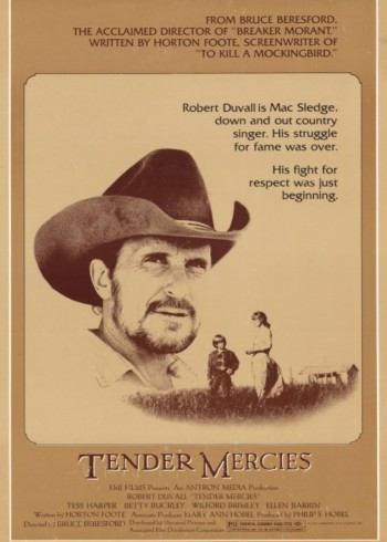 温柔的怜悯封面图