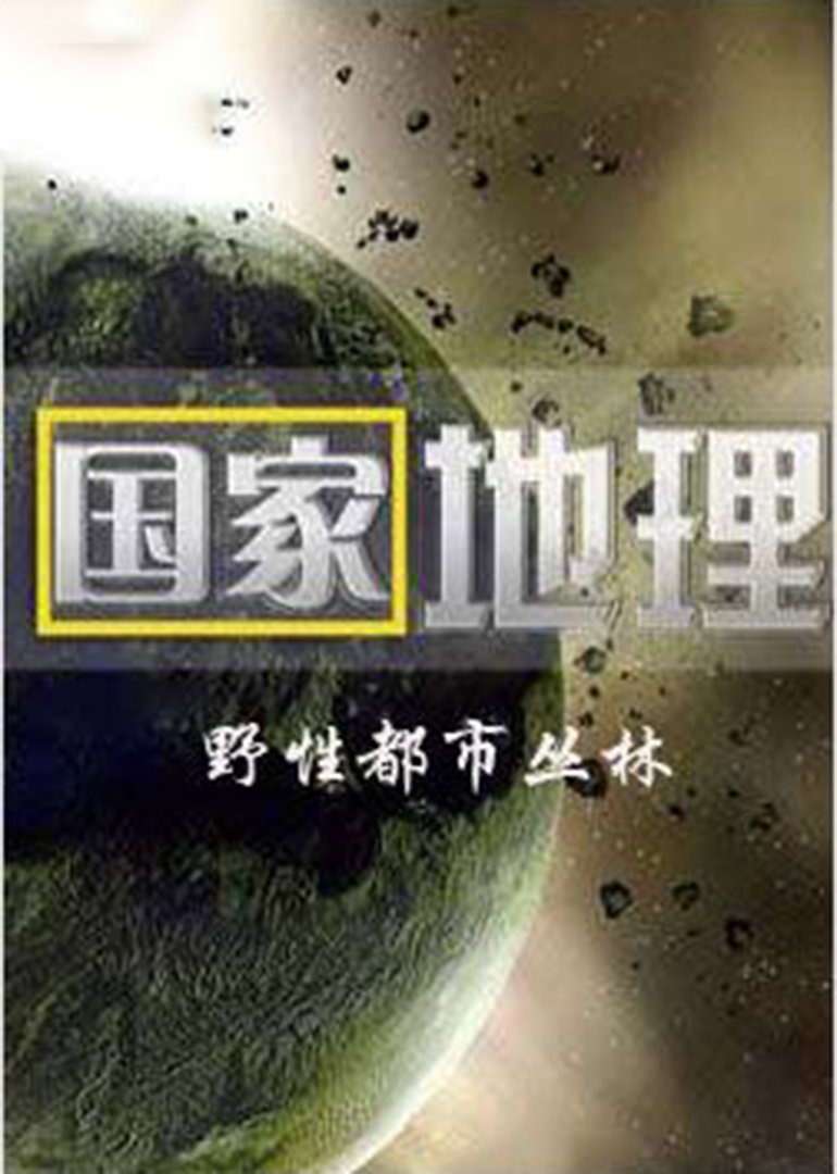 野性都市丛林}