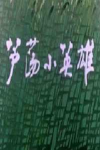 芦荡小英雄}