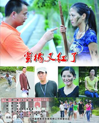 蜜橘又红了-封面2