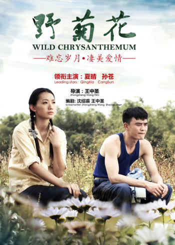 野菊花封面图