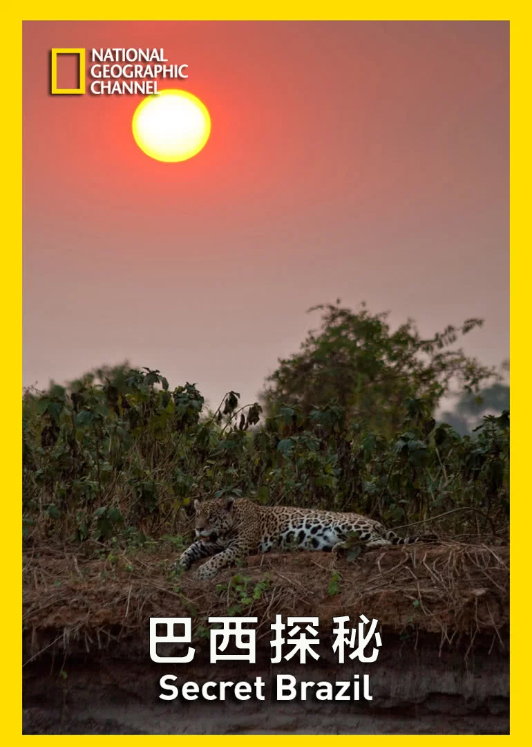 巴西探秘