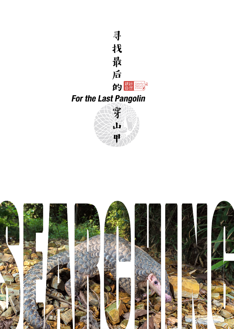 寻找最后的穿山甲-封面2