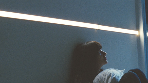 流感传播:黎明之战前[第1年]