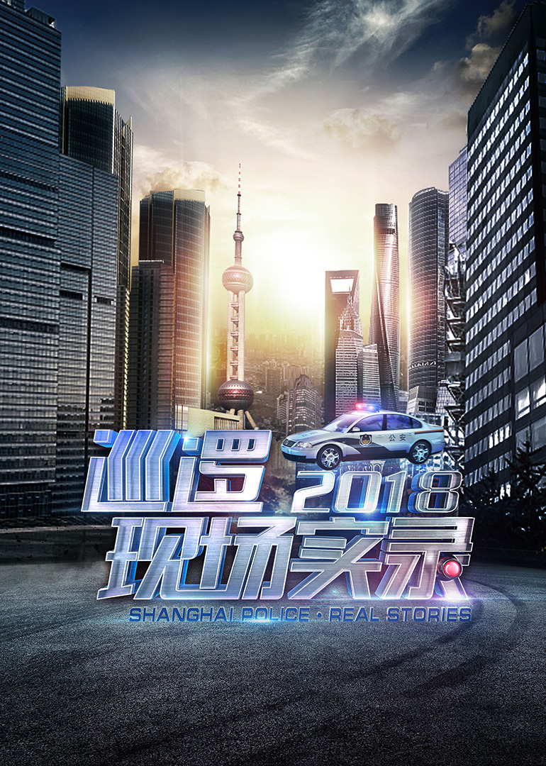 巡逻现场实录2018