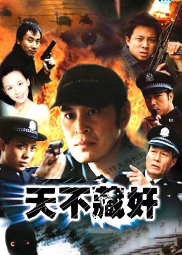 天不藏奸封面图