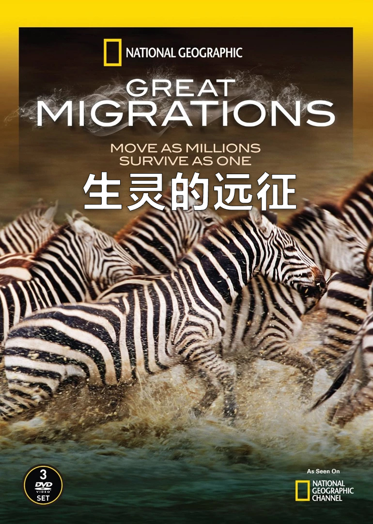 生灵的远征