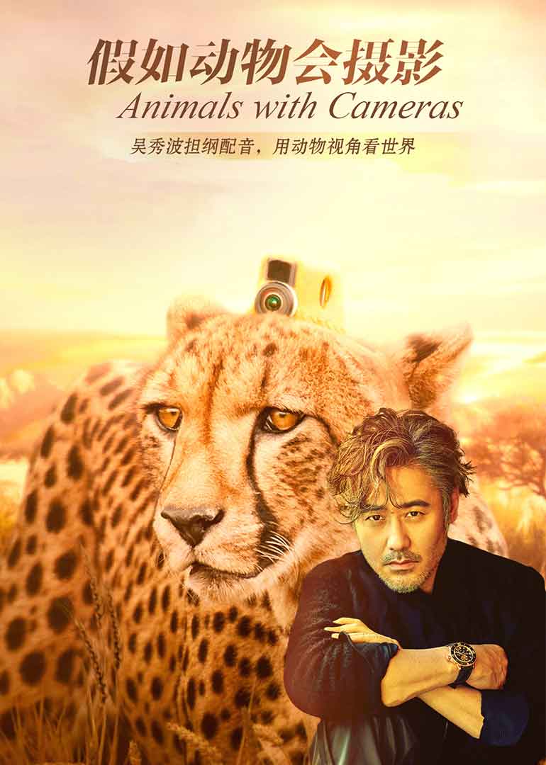 假如动物会摄影[普通话版]