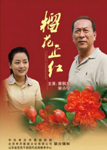 榴花正红免费观看